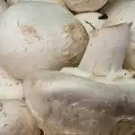 Dlaczego nie można myć grzybów przed grillowaniem, jeśli chcesz mieć skórkę: wskazówki dla gospodyń domowych dlaczego-nie-mozna-myc-grzybow-przed-grillowaniem-jesli-chcesz-miec.jpg