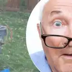 Dziwne znalezisko w pobliżu drzewa sprawiło, że sąsiadka zastanawiała się,