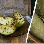 Gnaty znikną na zawsze: proste rozwiązanie na owady bez chemikaliów Gnaty znikną na zawsze: proste rozwiązanie na owady bez chemikaliów