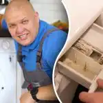 Jak wyczyścić pralkę z pleśni i nieprzyjemnego zapachu: porady eksperta dotyczące oszczędzania pieniędzy Jak wyczyścić pralkę z pleśni i nieprzyjemnego zapachu: porady eksperta