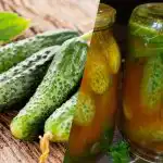 Jak zamknąć ogórki w ketchupie chili na zimę: 3 niezrównane