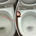 Jeden produkt wybieli muszlę klozetową do połysku: jak poradzić sobie z płytką nazębną i brudem w 15 minut Jeden produkt wybieli muszlę klozetową do połysku: jak poradzić sobie