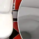 Jedna prosta sztuczka z toaletą i już przed przyjazdem gości będzie pachnieć jak w hotelu Jedna prosta sztuczka z toaletą i już przed przyjazdem gości