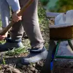 Kalendarz siewu na wrzesień 2025: co robić w ogrodzie i