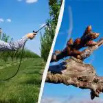 Nie musisz martwić się szkodnikami do końca sezonu: czym spryskać