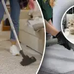 Nie pozostanie po nim nawet najmniejszy ślad: 7 kroków do usunięcia zapachu moczu z dywanu Nie pozostanie po nim nawet najmniejszy ślad: 7 kroków do