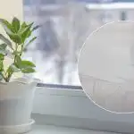 Rezultat cię zadziwi: przepis na środek, który wybieli plastikowy parapet Rezultat cię zadziwi: przepis na środek, który wybieli plastikowy parapet