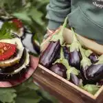 Smaczne jak w restauracji: idealna przekąska z prostych składników Smaczne jak w restauracji: idealna przekąska z prostych składników